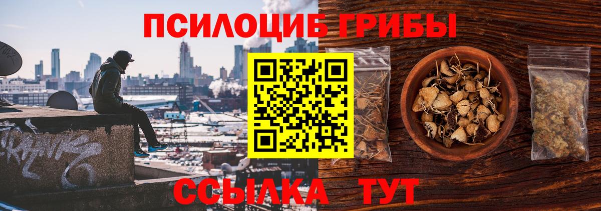 Псилоцибиновые грибы мицелий Киржач