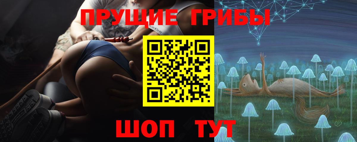 Киржач  Псилоцибиновые грибы Cubensis  Псилоцибиновые грибы мицелий  Вход с VPN 